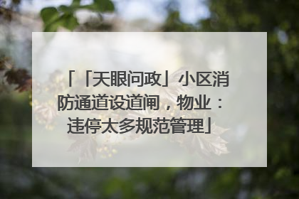 「天眼问政」小区消防通道设道闸，物业：违停太多规范管理