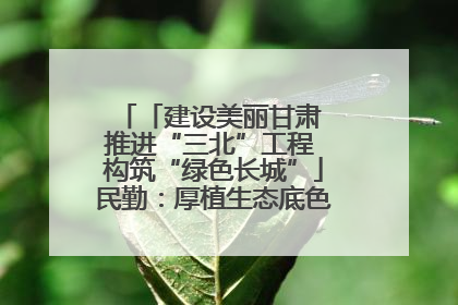 「建设美丽甘肃 推进“三北”工程 构筑“绿色长城”」民勤：厚植生态底色 筑牢绿色屏障
