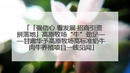 「强信心 看发展·招商引资拼落地」高原牧场“牛”劲足——甘肃华予高原牧场高标准奶牛肉牛养殖项目一线见闻