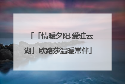「情暖夕阳.爱驻云湖」欧路莎温暖常伴