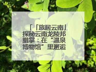 「旅居云南」探秘云南龙陵邦腊掌：在“温泉博物馆”里邂逅诗意康养生活