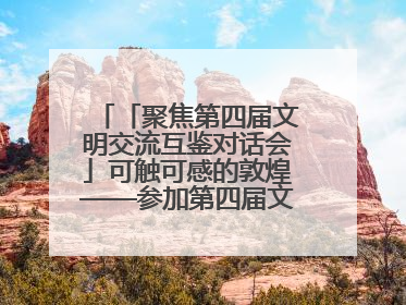 「聚焦第四届文明交流互鉴对话会」可触可感的敦煌——参加第四届文明交流互鉴对话会的外宾参观上元市集