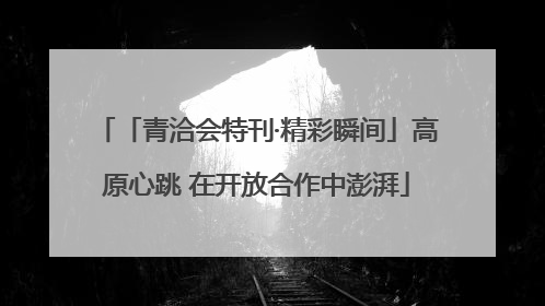 「青洽会特刊·精彩瞬间」高原心跳 在开放合作中澎湃