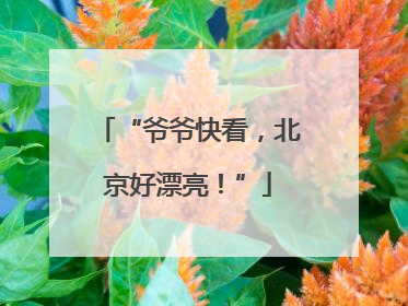“爷爷快看，北京好漂亮！”
