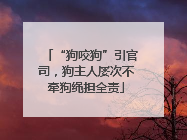 “狗咬狗”引官司，狗主人屡次不牵狗绳担全责