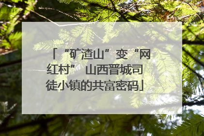 “矿渣山”变“网红村” 山西晋城司徒小镇的共富密码