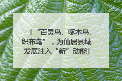 “百灵鸟、啄木鸟、织布鸟”，为仙居县域发展注入“新”动能