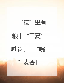 “皖”里有粮｜“三夏”时节，一“皖”麦香