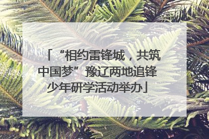 “相约雷锋城，共筑中国梦”豫辽两地追锋少年研学活动举办