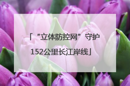 “立体防控网”守护152公里长江岸线