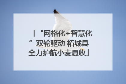 “网格化+智慧化”双轮驱动 柘城县全力护航小麦夏收