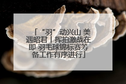 “羽”动兴山 美遇昭君丨挥拍激战在即 羽毛球锦标赛筹备工作有序进行