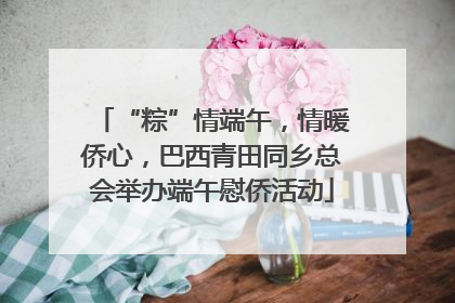 “粽”情端午，情暖侨心，巴西青田同乡总会举办端午慰侨活动
