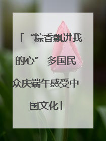“粽香飘进我的心” 多国民众庆端午感受中国文化