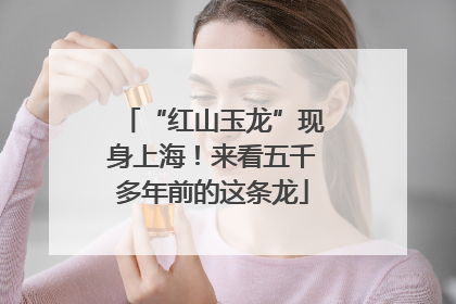 “红山玉龙”现身上海！来看五千多年前的这条龙