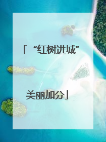 “红树进城” 美丽加分
