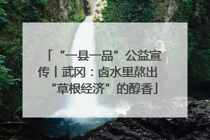 “一县一品”公益宣传丨武冈：卤水里熬出“草根经济”的醇香