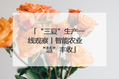 “三夏”生产一线观察丨智能农业“慧”丰收