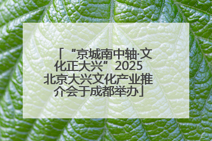 “京城南中轴·文化正大兴”2025北京大兴文化产业推介会于成都举办
