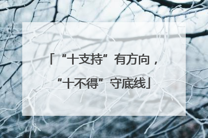 “十支持”有方向，“十不得”守底线
