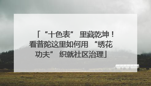 “十色表” 里藏乾坤！看普陀这里如何用 “绣花功夫” 织就社区治理