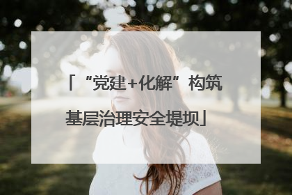 “党建+化解”构筑基层治理安全堤坝
