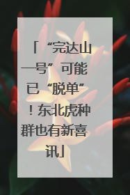 “完达山一号”可能已“脱单”！东北虎种群也有新喜讯
