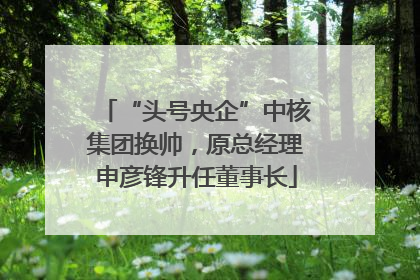 “头号央企”中核集团换帅，原总经理申彦锋升任董事长