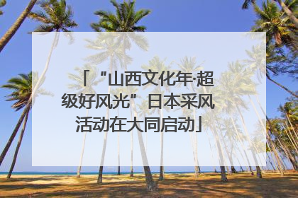 “山西文化年·超级好风光”日本采风活动在大同启动