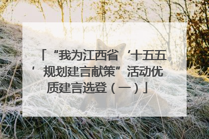 “我为江西省‘十五五’规划建言献策”活动优质建言选登（一）
