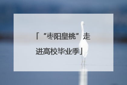 “枣阳皇桃”走进高校毕业季
