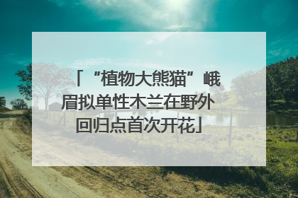 “植物大熊猫”峨眉拟单性木兰在野外回归点首次开花