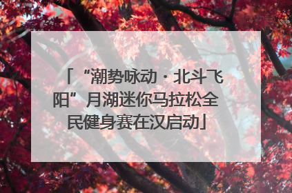 “潮势咏动・北斗飞阳”月湖迷你马拉松全民健身赛在汉启动