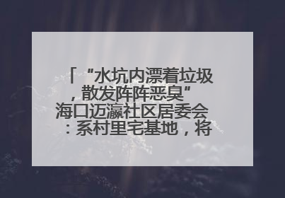 “水坑内漂着垃圾，散发阵阵恶臭” 海口迈瀛社区居委会：系村里宅基地，将派人打捞垃圾