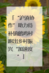 “沪滇协作”助力待补镇鹧鸡村跑出乡村振兴“加速度”