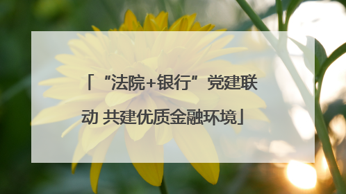“法院+银行”党建联动 共建优质金融环境