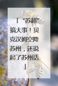 “苏超”搞大事！贝克汉姆空降苏州，还说起了苏州话
