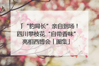 “豹局长”亲自到场！四川攀枝花“自带香味”亮相西博会丨图集