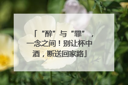“醉”与“罪”，一念之间！别让杯中酒，断送回家路