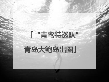 “青鸾特巡队”青岛大鲍岛出圈