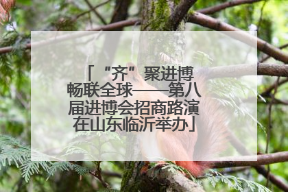 “齐”聚进博 畅联全球——第八届进博会招商路演在山东临沂举办