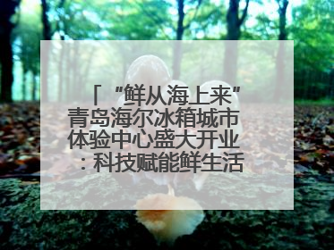 “鲜从海上来”青岛海尔冰箱城市体验中心盛大开业：科技赋能鲜生活，重新定义全球饮食未来