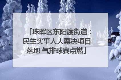 珠晖区东阳渡街道：民生实事人大票决项目落地 气排球赛点燃