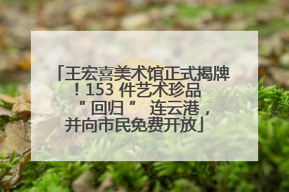王宏喜美术馆正式揭牌！153 件艺术珍品 “ 回归 ” 连云港，并向市民免费开放