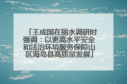 王成国在丽水调研时强调：以更高水平安全和法治环境服务保障山区海岛县高质量发展