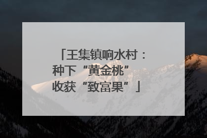 王集镇响水村：种下“黄金桃” 收获“致富果”