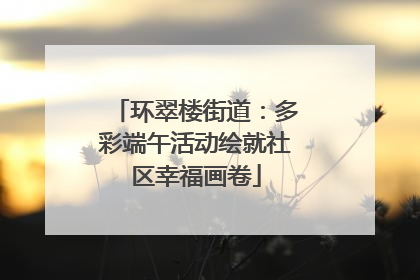 环翠楼街道：多彩端午活动绘就社区幸福画卷