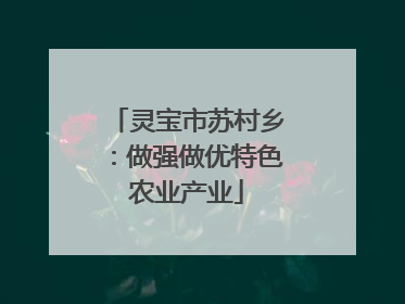 灵宝市苏村乡：做强做优特色农业产业