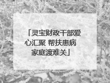 灵宝财政干部爱心汇聚 帮扶患病家庭渡难关