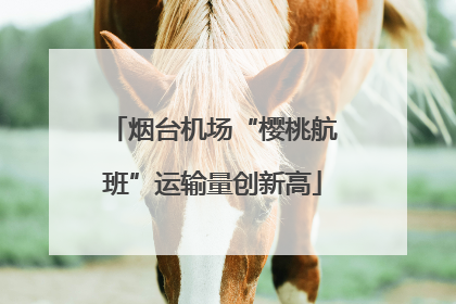 烟台机场“樱桃航班”运输量创新高